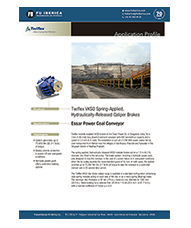 Frenos para transportador de carbón en Essar Power