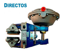 Vista de freno neumatico de disco directo